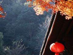 -十八棵（老龙井）御茶园(老龙井店)