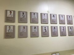 -美联众合动物医院·24h转诊中心