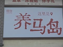 -养马岛旅游度假区