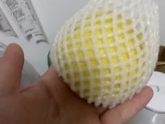 -百果园PAGODA(双塔街郦苑店)