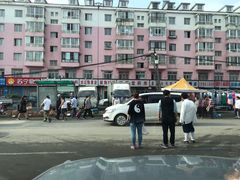 -蒲河大集