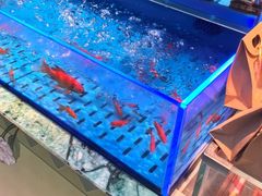 -海底捞火锅(长宁路龙之梦店)