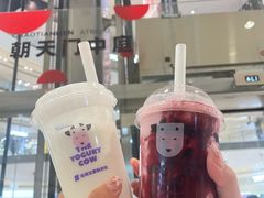 -一只酸奶牛(八一路店)