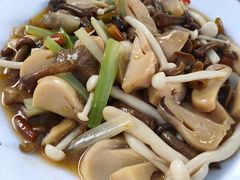 野生菌菇-老幺泉水鸡