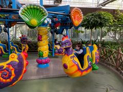 -南宫五洲植物乐园