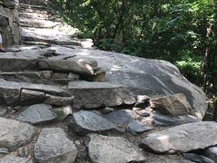 -北京鹫峰国家森林公园