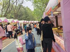-太阳宫公园