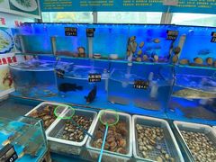 水产区-日照大牌檔•小船海鲜(万平口店)