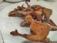 -琬苑鸽庄·川粤融合菜(解放碑总店)