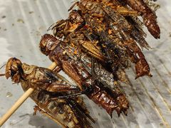 -纪录片《人生一串》体验店(静安店)