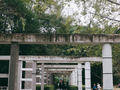 -金山公园