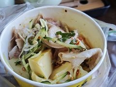 -邓氏大薄片
