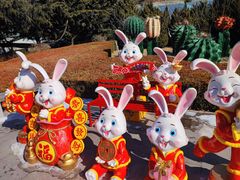 -大连森林动物园