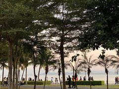 -深圳湾公园(南山区)