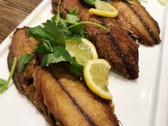 -盛京辽菜小馆(龙之梦购物中心店)