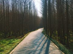 -桤木河湿地公园