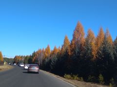 -塞罕坝国家级自然保护区