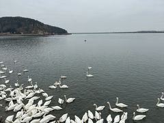 -石岛赤山风景区