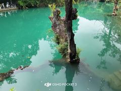 -小七孔景区-六十八级跌水瀑布