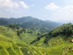 -紫鹊界梯田景区