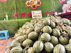 -庞各庄翠芳园西瓜蔬菜基地采摘园