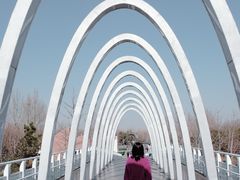 -大兴滨河森林公园