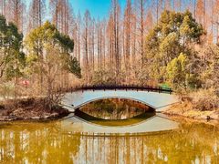 -东平国家森林公园