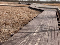 -永定河休闲森林公园