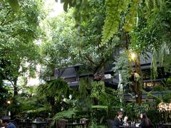 -Fern Forest Cafe
