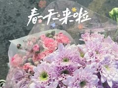 -循礼门鲜花花市(武汉循礼门店)