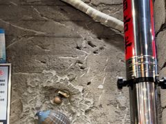 -破瓦寒窑·地摊烤羊排