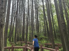 -波尔登森林公园
