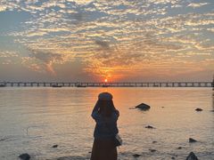 -宝安西湾红树林湿地公园