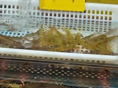 -黄沙码头