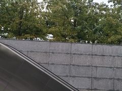 -上海动物园(地铁站)