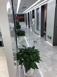 -悟空祛痘·诺奖技术专业店