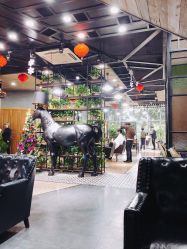 -UPTOP鼎上造型