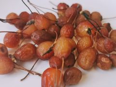 -黑青稞庄园·新式藏餐·牦牛肉汤锅(新都桥店)