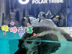 -正佳极地海洋世界