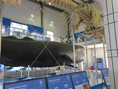 -上海海洋大学鱼文化博物馆(军工路校区)