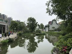 -碧江金楼