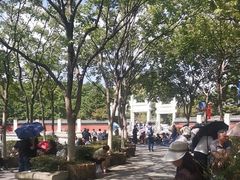 -观潮胜地公园