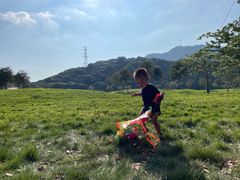 -风云岭森林公园