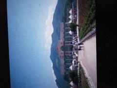 -曲江薰衣草庄园