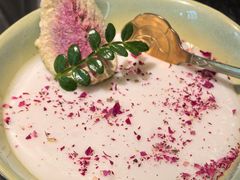 -菌自由丨野生菌火锅特色庭院餐厅(丽江古城店)