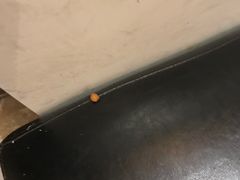 -自由港KTV(王子公主金平店)