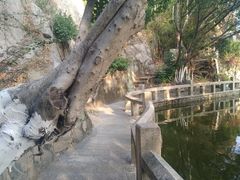 -厦门鸿山寺