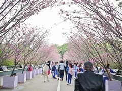 -观澜湖生态运动公社