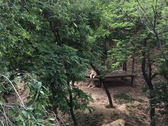 -石家庄市动物园