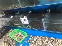 水产区-云南巷海鲜大咖·可加工海鲜